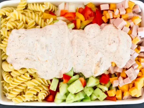 fusilli pasta salad with mayo
